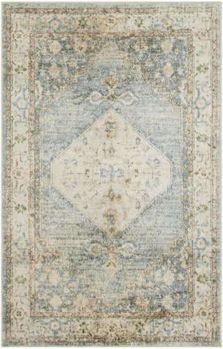 Nourison Astra Machine Washable ASW11 Silver Blue Area Rug Main Image
