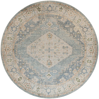 Nourison Astra Machine Washable ASW11 Silver Blue Area Rug Main Image