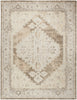 Nourison Astra Machine Washable ASW11 Beige Area Rug 