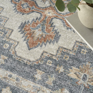 Nourison Astra Machine Washable ASW11 Grey Area Rug Room Image Feature