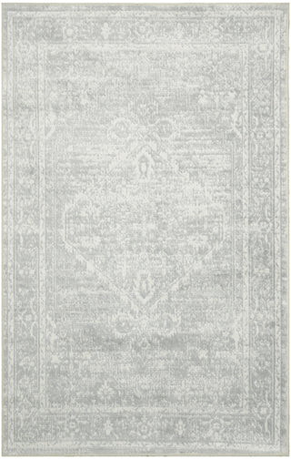 Nourison Astra Machine Washable ASW11 Light Grey Area Rug main image