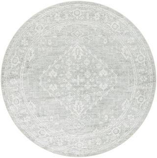 Nourison Astra Machine Washable ASW11 Light Grey Area Rug Main Image