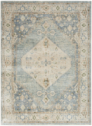 Nourison Astra Machine Washable ASW11 Silver Blue Area Rug 