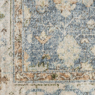 Nourison Astra Machine Washable ASW11 Silver Blue Area Rug 