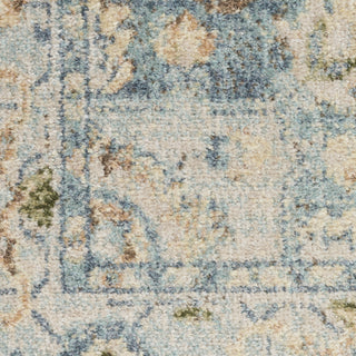 Nourison Astra Machine Washable ASW12 Beige Blue Area Rug Swatch Image