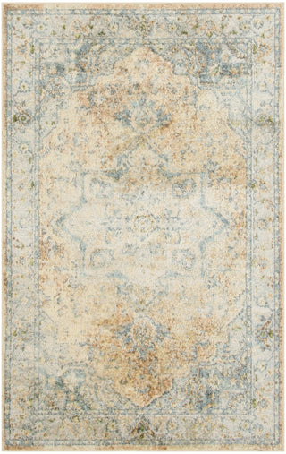 Nourison Astra Machine Washable ASW12 Beige Blue Area Rug Main Image