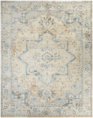 Nourison Astra Machine Washable ASW12 Beige Blue Area Rug Main Image