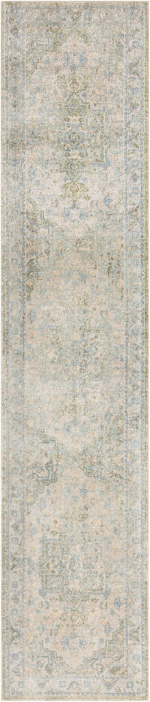 Nourison Astra Machine Washable ASW12 Blue Green Area Rug main image