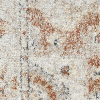 Nourison Astra Machine Washable ASW12 Gold Multicolor Area Rug Swatch Image