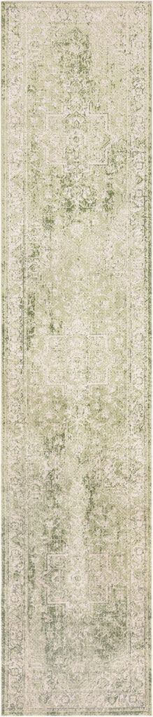 Nourison Astra Machine Washable ASW12 Ivory Green Area Rug main image
