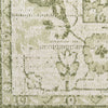 Nourison Astra Machine Washable ASW12 Ivory Green Area Rug Swatch Image