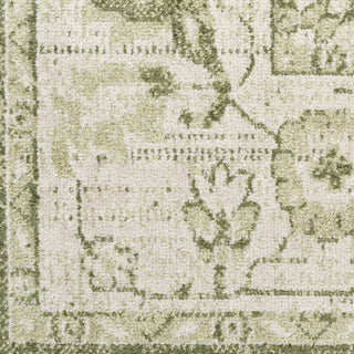 Nourison Astra Machine Washable ASW12 Ivory Green Area Rug Swatch Image