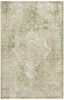 Nourison Astra Machine Washable ASW12 Ivory Green Area Rug Main Image