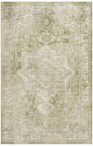 Nourison Astra Machine Washable ASW12 Ivory Green Area Rug Main Image
