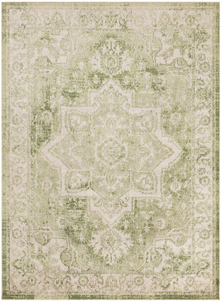 Nourison Astra Machine Washable ASW12 Ivory Green Area Rug Main Image