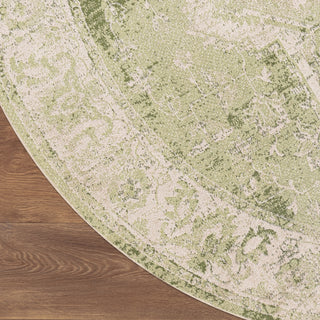 Nourison Astra Machine Washable ASW12 Ivory Green Area Rug Detail Image