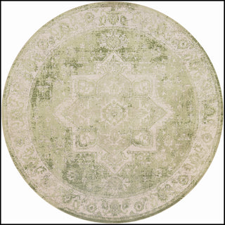Nourison Astra Machine Washable ASW12 Ivory Green Area Rug Main Image
