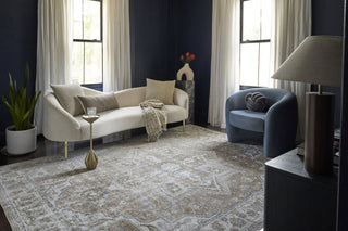 Nourison Astra Machine Washable ASW12 Beige Area Rug 
