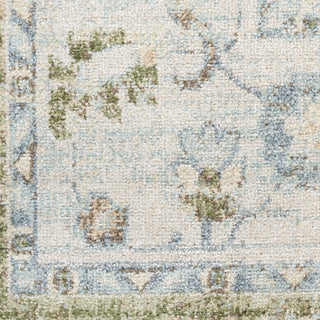 Nourison Astra Machine Washable ASW12 Blue Green Area Rug 