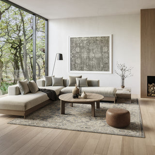 Nourison Astra Machine Washable ASW12 Grey/Multi Area Rug 