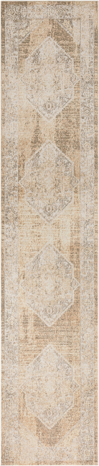 Nourison Astra Machine Washable ASW13 Beige Area Rug main image