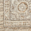 Nourison Astra Machine Washable ASW13 Beige Area Rug Swatch Image