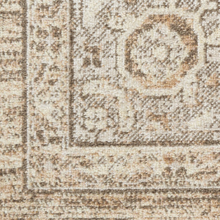 Nourison Astra Machine Washable ASW13 Beige Area Rug Swatch Image