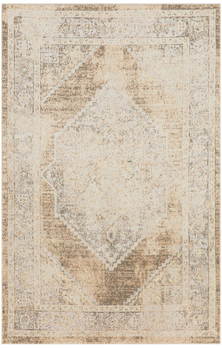 Nourison Astra Machine Washable ASW13 Beige Area Rug Main Image