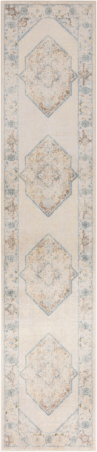 Nourison Astra Machine Washable ASW13 Ivory Blue Area Rug main image