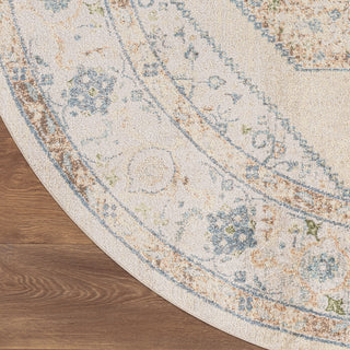 Nourison Astra Machine Washable ASW13 Ivory Blue Area Rug Detail Image