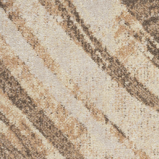 Nourison Astra Machine Washable ASW14 Beige Area Rug Swatch Image