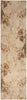 Nourison Astra Machine Washable ASW14 Beige Area Rug Main Image
