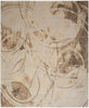 Nourison Astra Machine Washable ASW14 Beige Area Rug Main Image