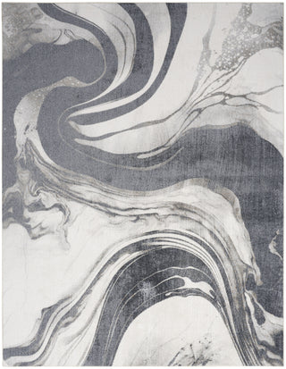 Nourison Astra Machine Washable ASW15 Ivory Grey Area Rug Main Image