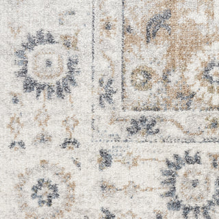 Nourison Astra Machine Washable ASW16 Silver Taupe Area Rug Swatch Image