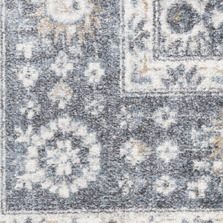 Nourison Astra Machine Washable ASW16 Dark Blue Area Rug Swatch Image