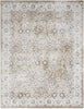 Nourison Astra Machine Washable ASW16 Silver Taupe Area Rug Main Image