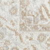 Nourison Astra Machine Washable ASW20 Grey Area Rug Corner Image