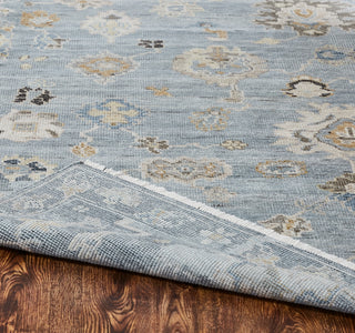 Ancient Boundaries Augustine AUG-1000 Blue Area Rug Alternative Image