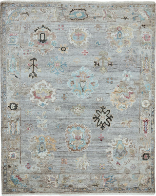 Ancient Boundaries Augustine AUG-1001 Grey Area Rug Main Image