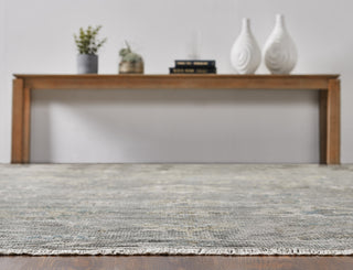 Ancient Boundaries Augustine AUG-1004 Grey Area Rug Alternative Image