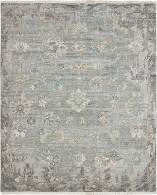 Ancient Boundaries Augustine AUG-1004 Grey Area Rug Main Image