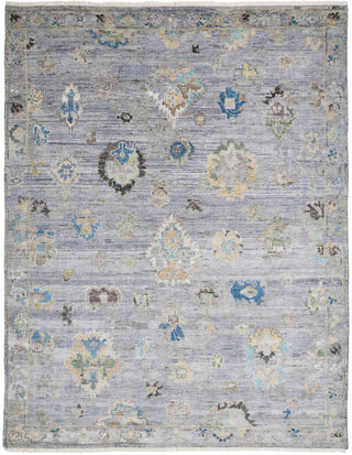 Ancient Boundaries Augustine AUG-1008 Grey Area Rug Main Image