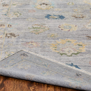 Ancient Boundaries Augustine AUG-1008 Grey Area Rug Closeup Image