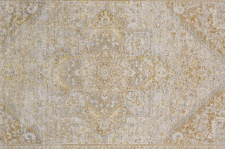 Feizy Aura 3734F Brown/Gold Area Rug