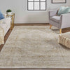 Feizy Aura 3734F Brown/Gold Area Rug