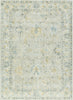 Livabliss Avellino AVL-2310 Light Gray Area Rug