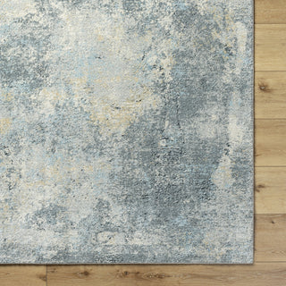 Livabliss Avellino AVL-2311 Light Gray Area Rug