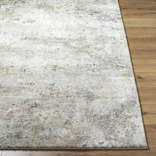 Livabliss Avellino AVL-2323 Light Gray Area Rug