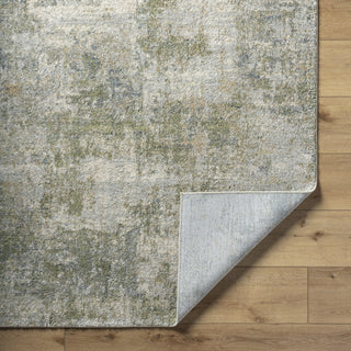 Livabliss Avellino AVL-2336 Light Gray Area Rug